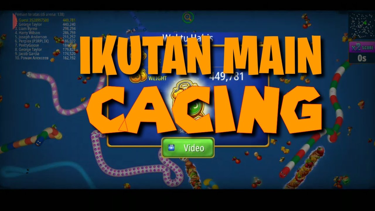 Cacing Rakus YouTube