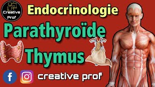 Physiologie Animale - Endocrinologie: parathyroide + thymus (darija)