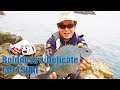 シロモッチ VS 尾長グレ NEWラインで真っ向勝負 in 和歌山県すさみ