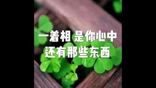 201302 一着相 是你心中还有那些东西25303