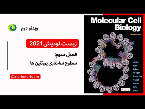      سطوح سلسله مراتبی ساختار پروتئین ها
