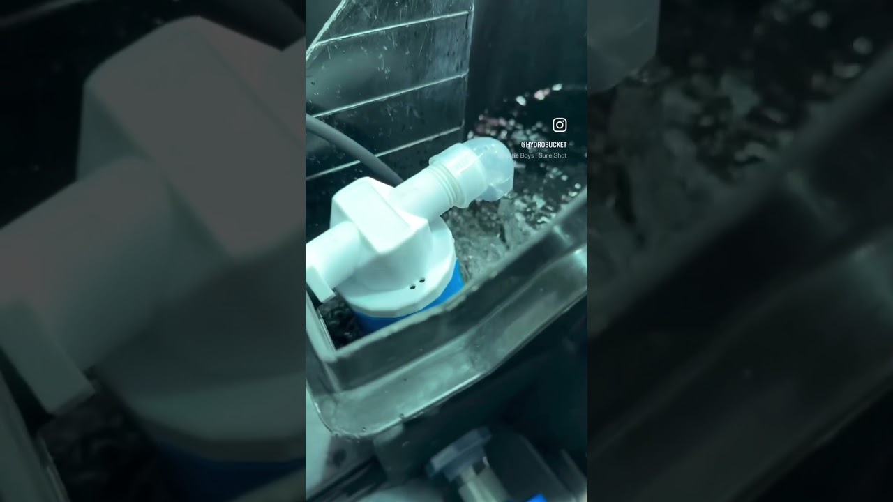 Next Growmie Talk Monday 10th live YouTube 