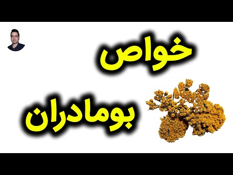 خواص بومادران بومادران برای چی خوبه بومادران خواص