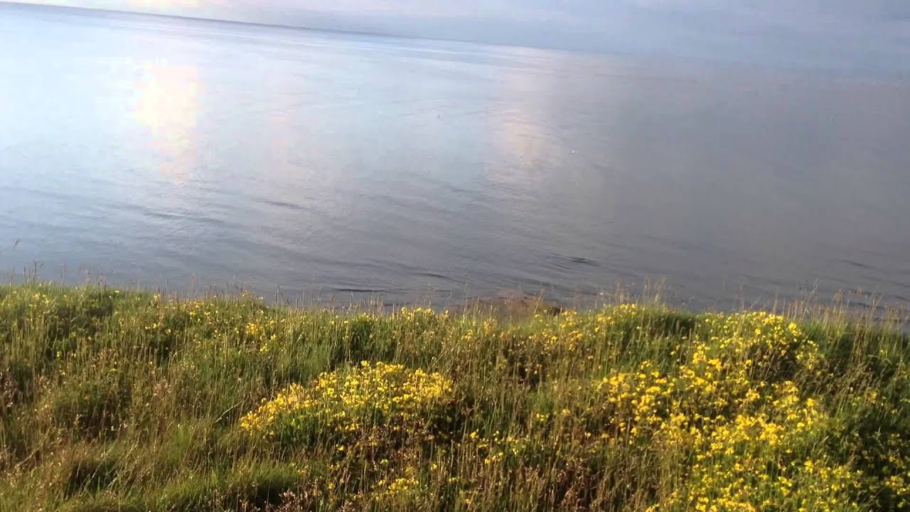 Wild Camping Two Day Wild Camp On The North Yorks Moors And Secluded Cliff Near Robin Hoods Bay Youtube