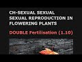 Double Fertilisation : Sexual Reproduction in Flowering Plants Class 12 (1.10)