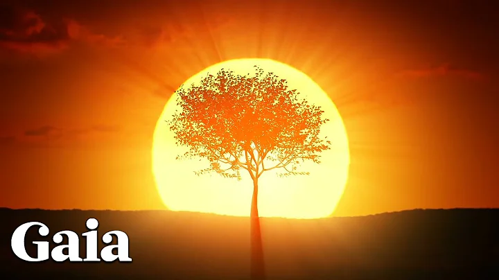 What Does the Phrase Dawn of a New Day Really Mean?