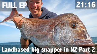 Landbased Big Snapper in NZ Part 2