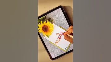 Which name should I write next? 💛 #malayalamart #calligraphy #nameart #procreate #ShortsForGoals