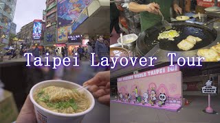 Layover trip in Taipei Taiwan  🇹🇼  // What to do in 8 hours // Ximending Night Market 🍜대만 台湾