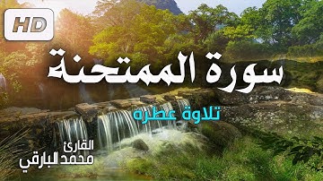 سورة الممتحنة كاملة .. تلاوة عطره ❤️  للقارئ محمد البارقي  Surah Al-Mumtahanah Full