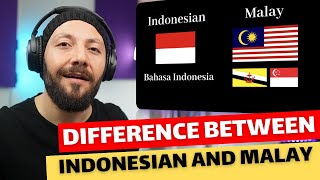 🇨🇦 CANADA REACTS TO How Different Are Indonesian and Malay?! reaction