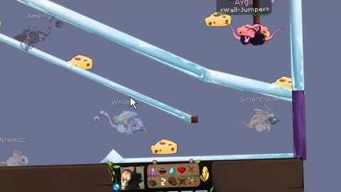 Aygx Ft K4sh - Transformice