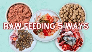 5 Ways To Start Raw Feeding Your Pet by Paws of Prey 18,526 views 6 months ago 7 minutes, 22 seconds