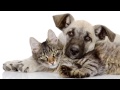 Cute Friendship Quotes Video with Music To Make You Smile ...