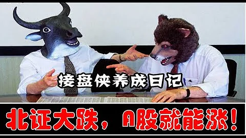 外資連續抄底100億！終極救市的方法找到了！北證大跌，A股就能漲！（2023.11.28股市分析） - 天天要聞