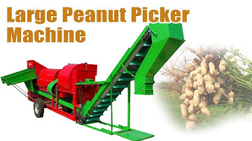 Super Efficient Peanut Picker: High Yield Harvesting Made Easy! Industrial Groundnut Picking Machine