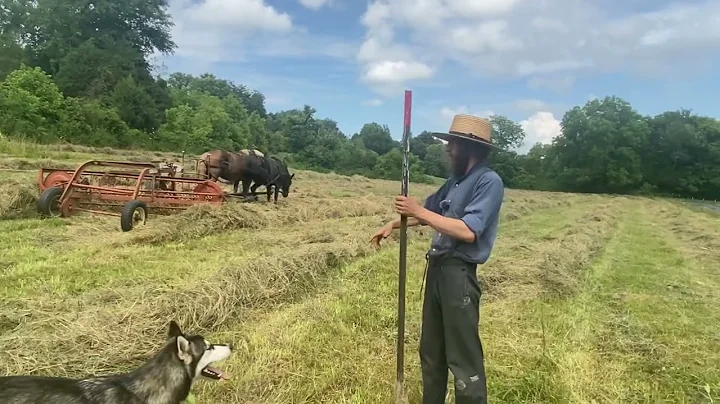 Raking Hay With Titus Morris | #farming #raking #bailing #garden #farmlife #farmlifestyle