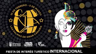 Carnaval de Las Palmas de Gran Canaria | Fiesta de Interés Turístico Internacional | Tanausú.