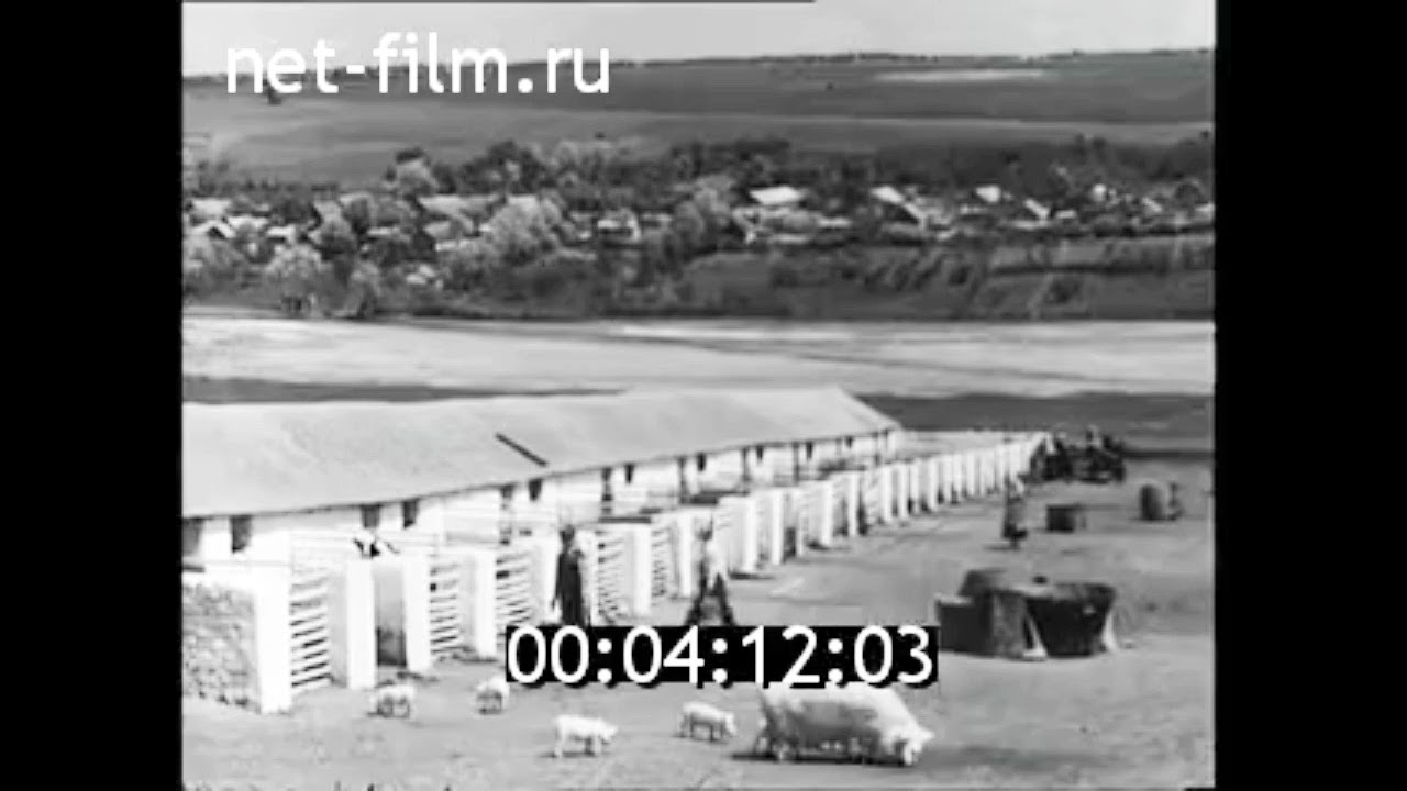 1957г. колхоз имени Ленина Чадыр -Лунгский район Молдавия