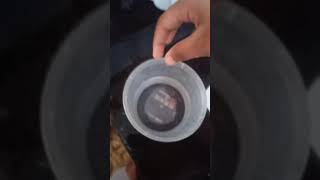 Orbeez My Orbeez Grew Bigger Donut Shownut