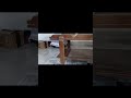 Asian Paints Ezy Touchwood DIY Wood Coating Spray Quick Demo 