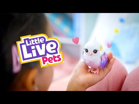 Little Live Pets