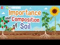 The Essential Role of Soil in Ecosystems and Agriculture