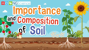Importance and Composition of Soil
