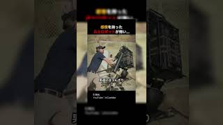 感情を持った兵士ロボットが怖すぎる…