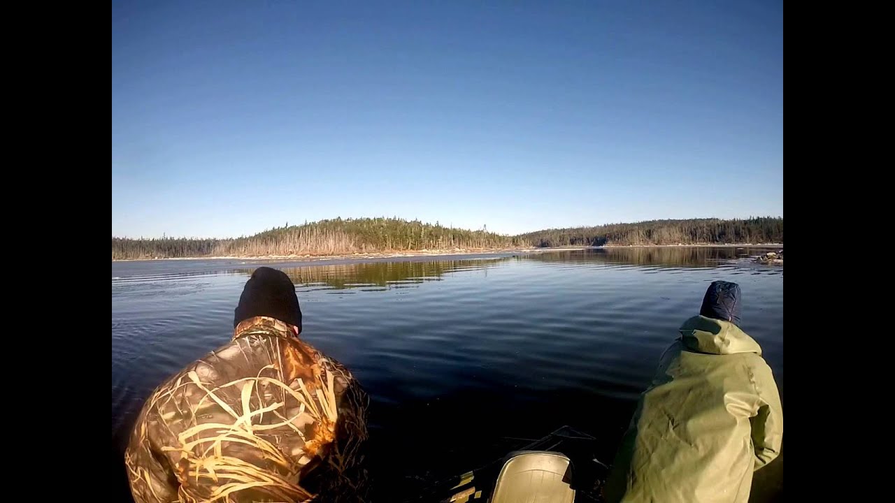goose hunting trip in nova scotia YouTube