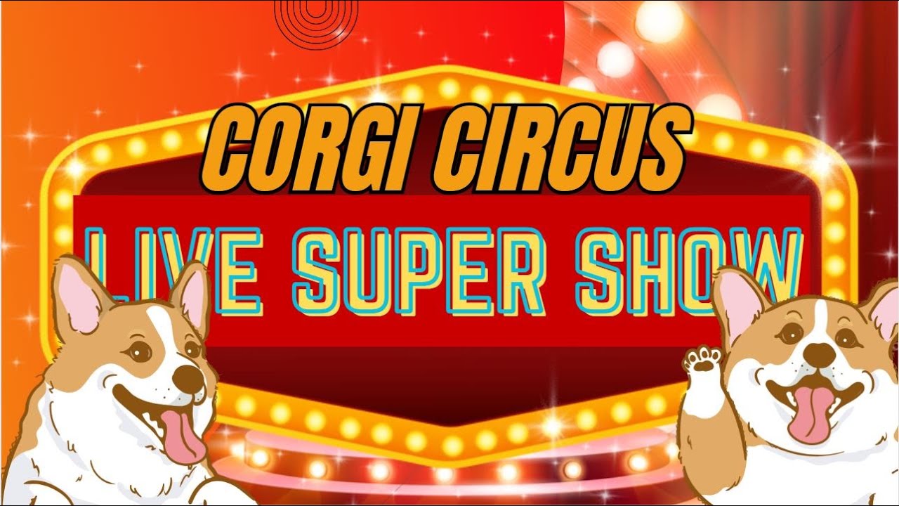 Corgi Circus Super Show - YouTube