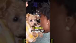 IShowSpeed Fun moment 2024 😂 🐶