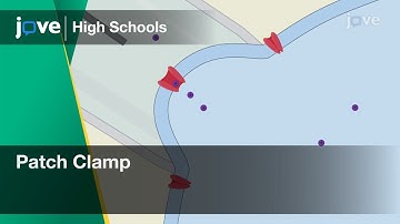 Patch Clamp | Cell Bio | Video Textbooks - Preview