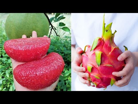 15 Exotic Fruits You Won't Believe Actually