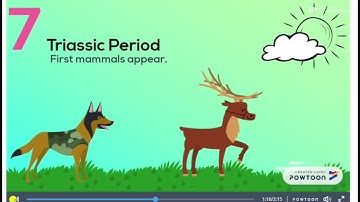 Geological Time Scale Animation