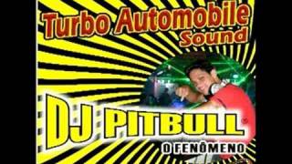 Dj Pitbull O Fenômeno - Cd Automobile Sound 2008 Vol:11