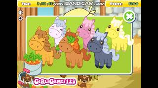 Pony Slacking