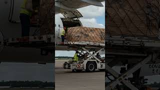 Signature Logistics — Aapka Global Cargo Partner! 🌍 #Shorts
