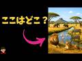 なぜアフリカにだけ大型動物が残った?ホモ・サピエンスが変えた世界の生態系