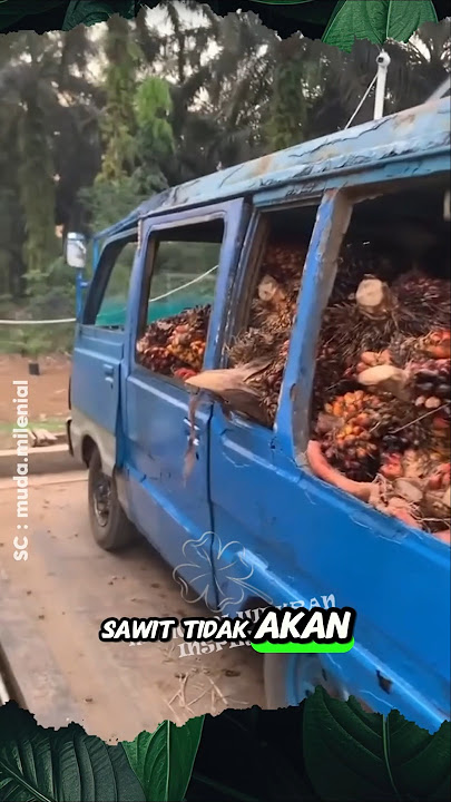 Angkot Shuttle Palm Oil Anti-Storm #shrots #angkot #palm oil #factory