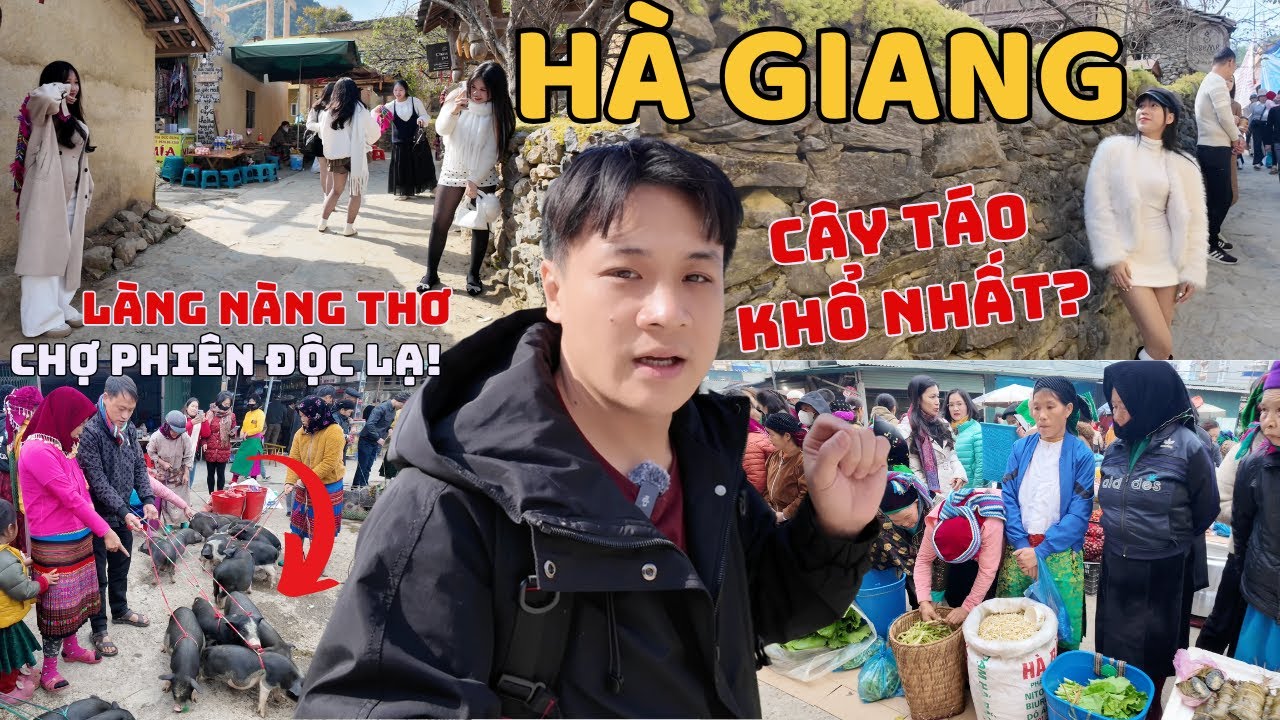 Đến LÀNG NÀNG THƠ có CÂY TÁO KHỔ NHẤT THẾ GIỚI - Ngỡ ngàng PHỐ ĐÊM ĂN CHƠI và CHỢ PHIÊN ĐỘC LẠ?