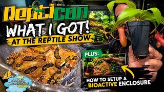 Repticon Orlando pick-ups and bioactive enclosure build. 