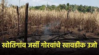 Short Circuit Sparks Devastating Fire Destroying Cattle Feed, Equipments in Cotigao|| GOA365 TV