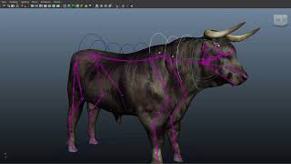 Quadruped simple  rig