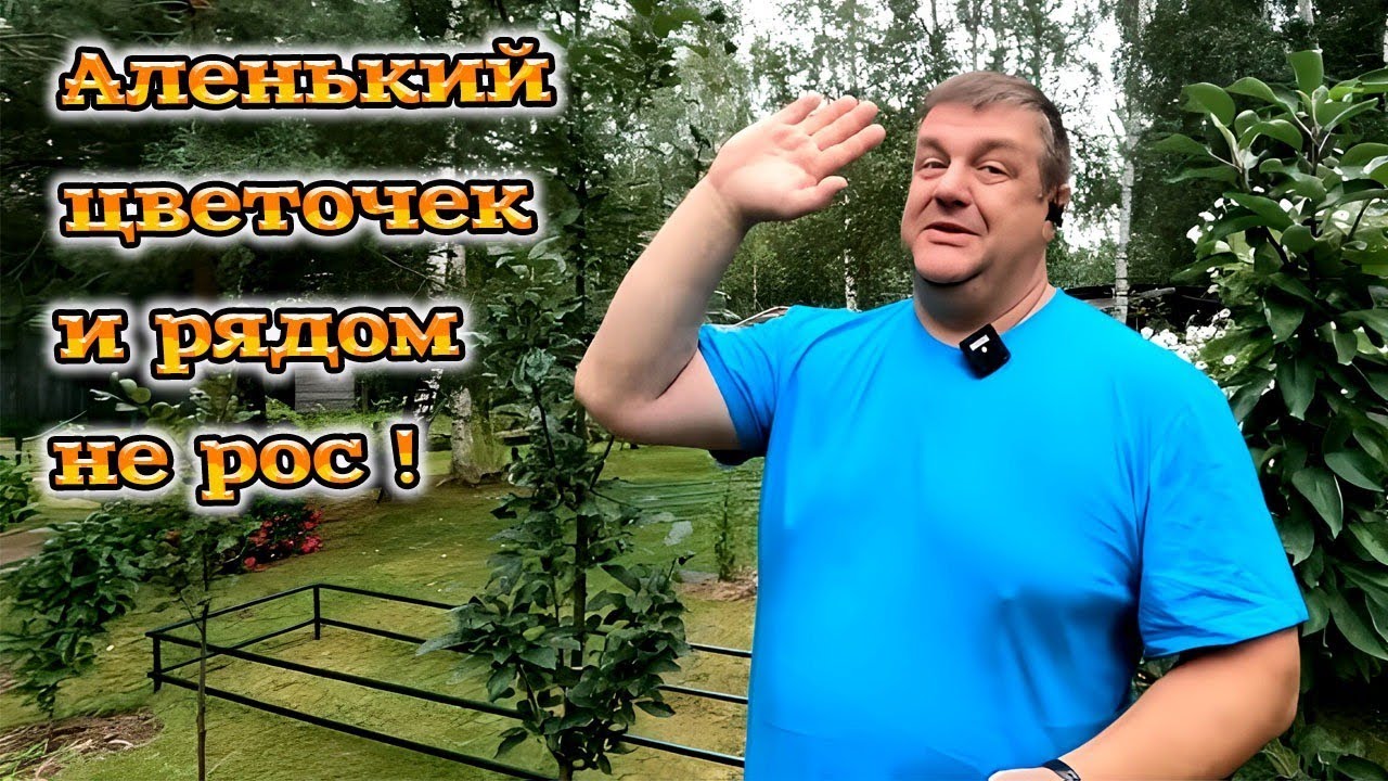 Ели ноги унес. - YouTube