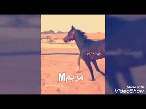 ما لومهن لامن حظرتي يغارون فيديوهات الخيل الأصيله تصميمي علي البريكي