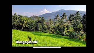 Download Lagu Katineung Gunung Tampomas rek di KUMAHAKEUN !!!!! MP3