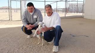 Meet Adeline! | Marley's Mutts