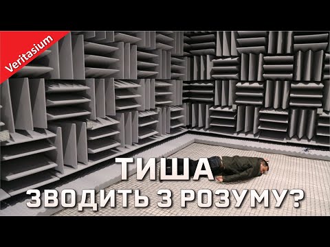 Видео: Чи може тиша вплинути на ваш психічний стан [Veritasium]