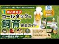 【ついに出版】コールダック飼育のすべてを1冊にまとめました @ZOOTIMEch